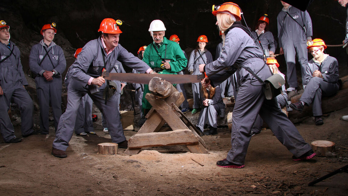 Wielinczka Wilczyński Wilczyński Wielinczka