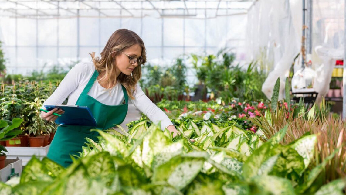 Green Jobs Green Jobs